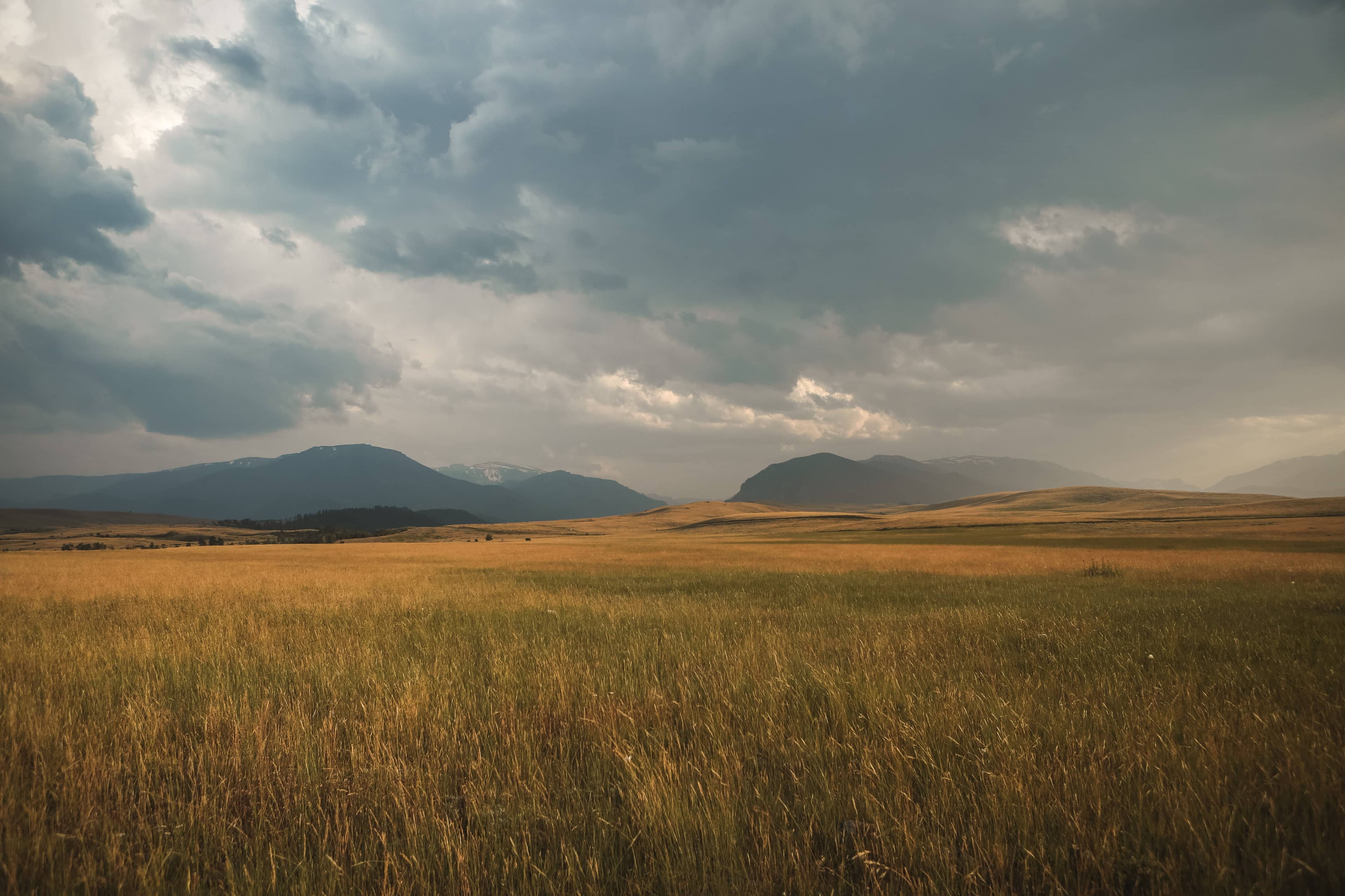 Northern Plains Landing Image Northern Plains Landing Image